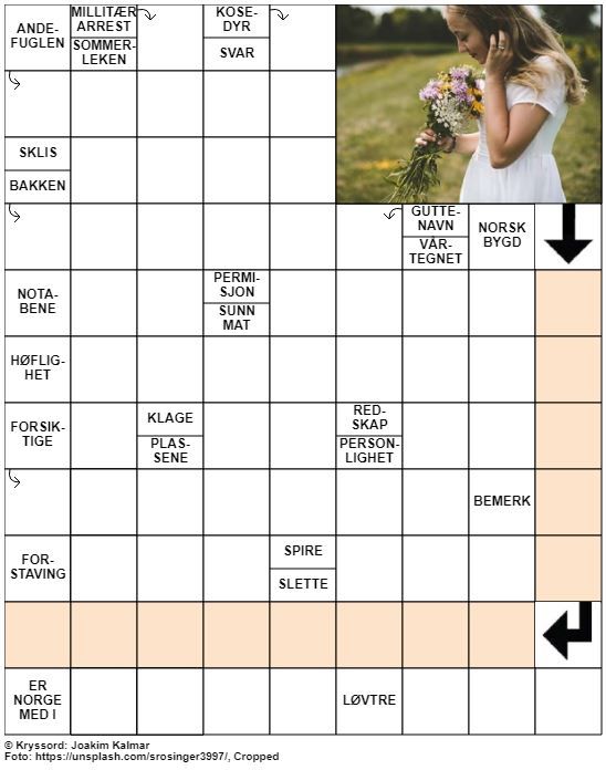 Dagens kryssord – 27. Juli – 2019