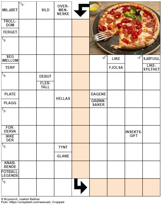 Dagens kryssord – 28. Juli – 2019
