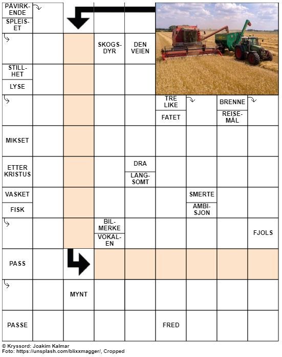 Dagens kryssord – 26. August – 2019
