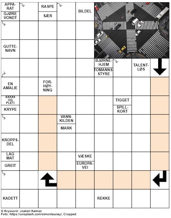Dagens kryssord – 2. August – 2019