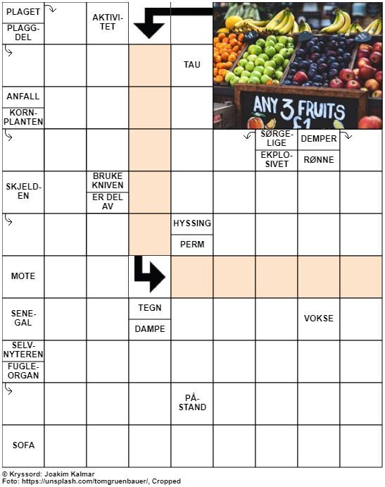 Dagens kryssord – 8. August – 2019