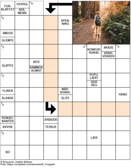 Dagens kryssord – 11. August – 2019