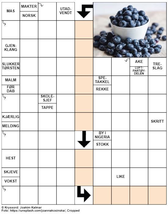 Dagens kryssord – 15. August – 2019