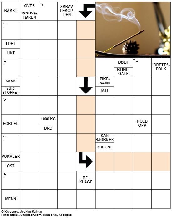 Dagens kryssord – 17. August – 2019