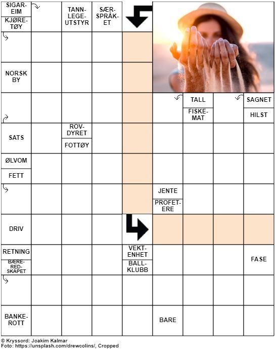 Dagens kryssord – 20. August – 2019
