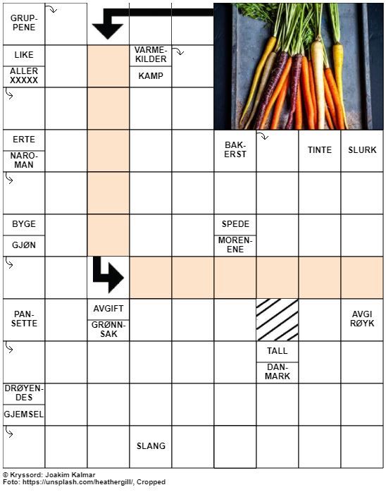 Dagens kryssord – 25. August – 2019