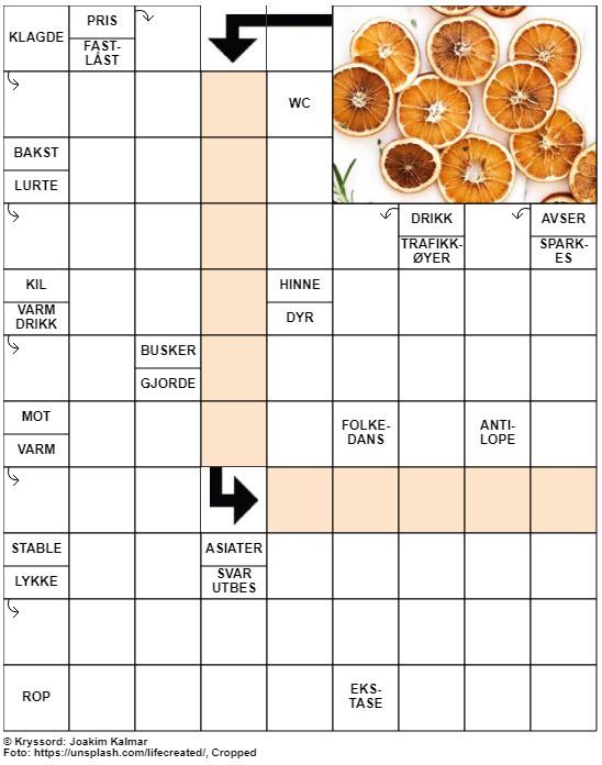 Dagens kryssord – 5. September – 2019