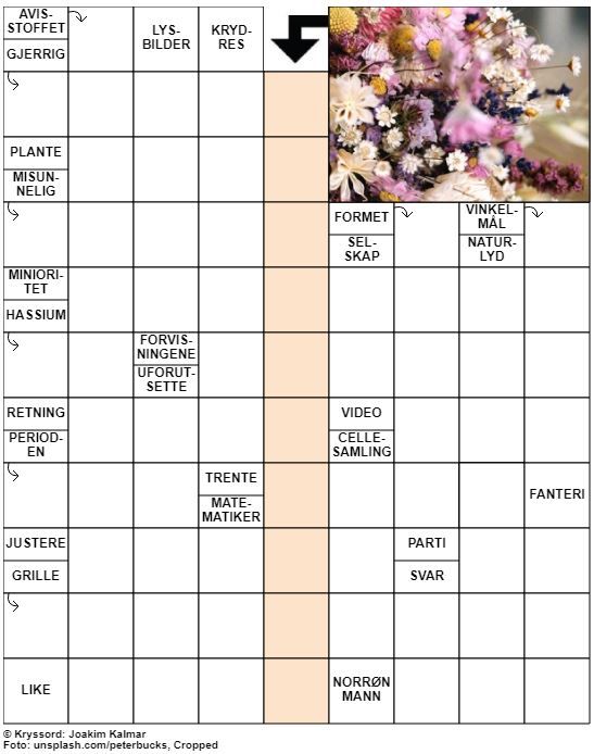 Dagens kryssord – 25. September – 2019