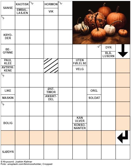 Dagens kryssord – 2. Oktober – 2019