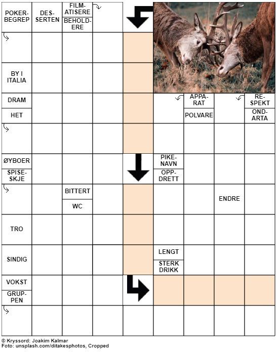 Dagens kryssord – 17. Oktober – 2019