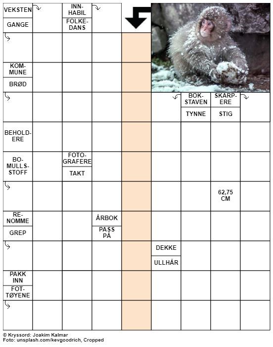 Dagens kryssord – 19. Oktober – 2019