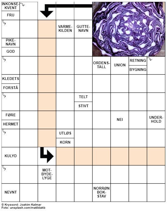 Dagens kryssord – 23. Oktober – 2019