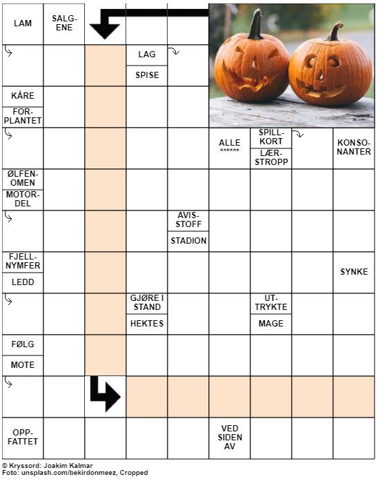 Dagens kryssord – 31. Oktober – 2019
