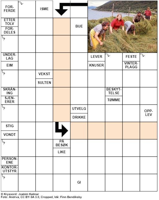 Dagens kryssord – 10. November – 2019