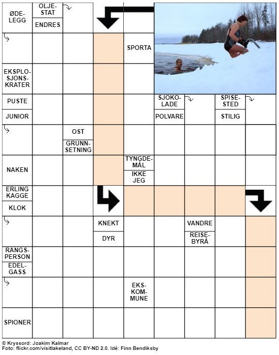 Dagens kryssord – 13. November – 2019