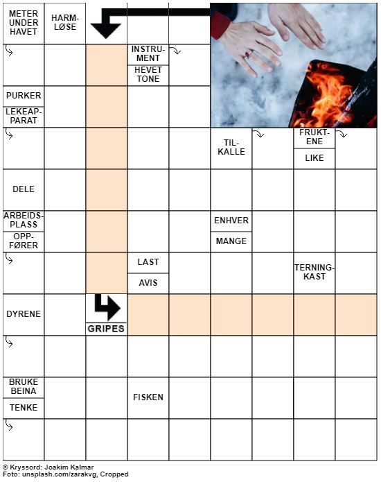Dagens kryssord – 17. November – 2019