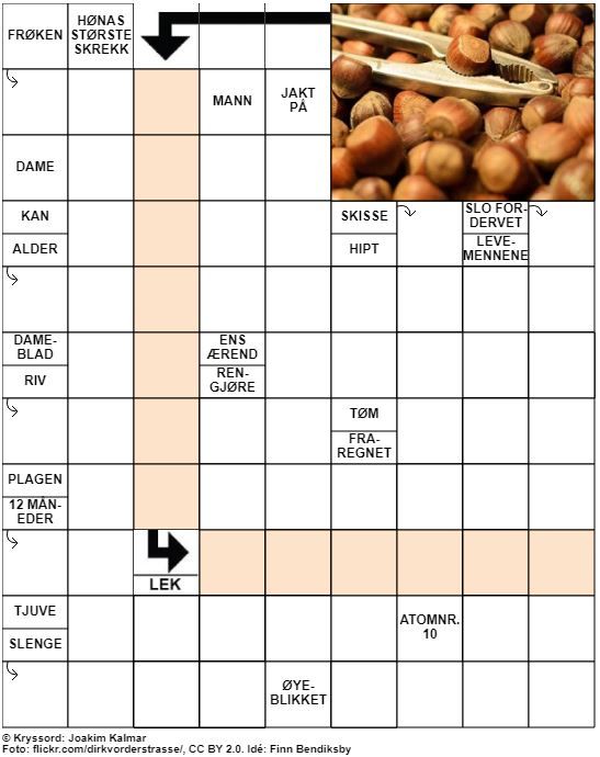 Dagens kryssord – 22. November – 2019