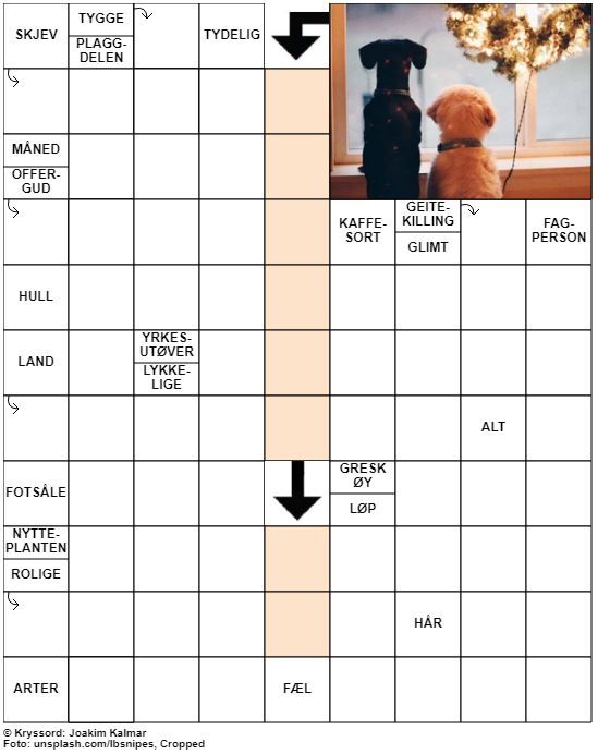 Dagens kryssord – 26. November – 2019