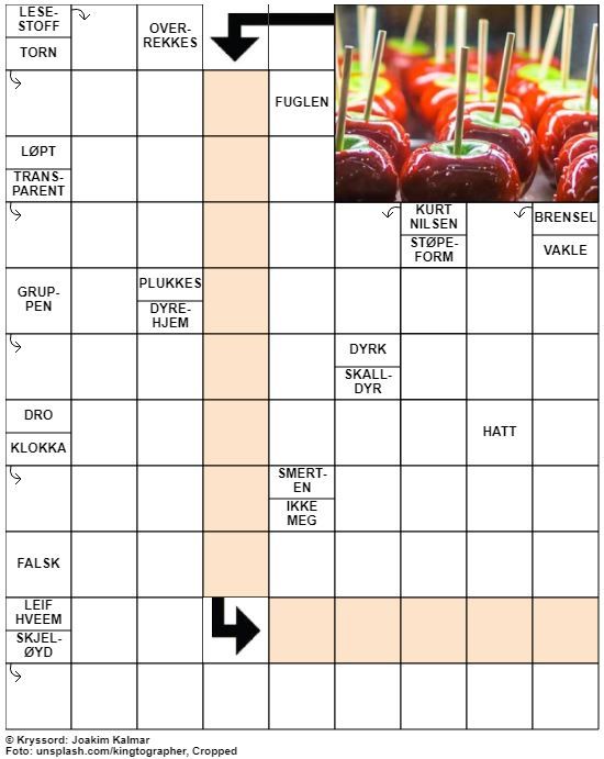 Dagens kryssord – 2. Januar – 2020