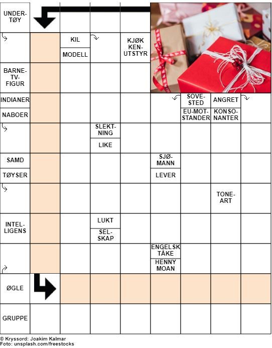 Dagens kryssord – 25. Desember – 2019