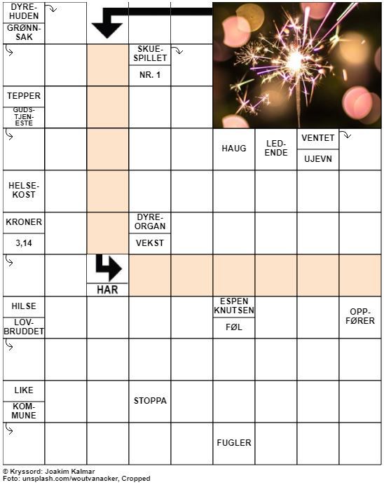 Dagens kryssord – 26. Desember – 2019