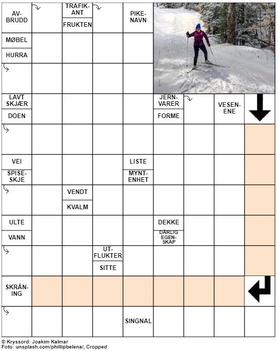Dagens kryssord – 29. Desember – 2019