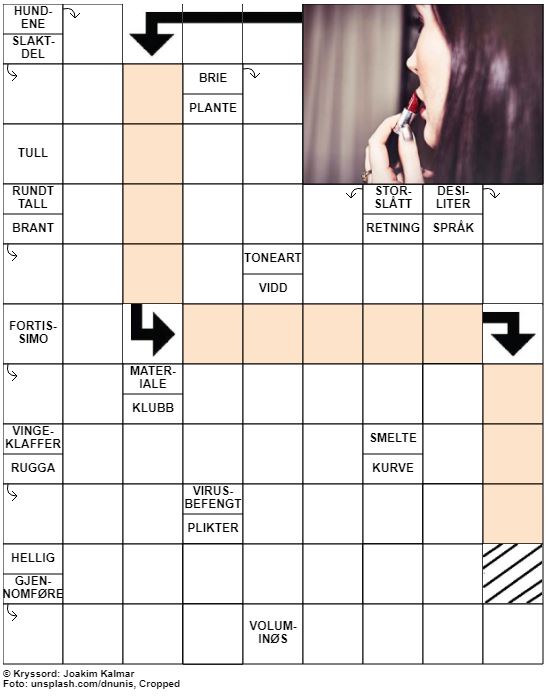 Dagens kryssord – 1. Februar - 2020