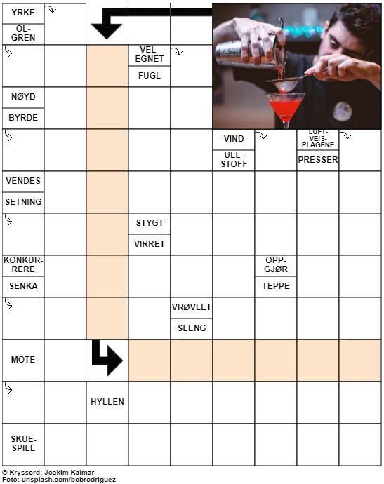 Dagens kryssord – 8. Januar – 2020