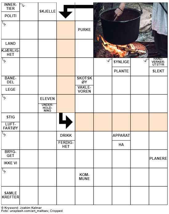 Dagens kryssord – 10. Januar – 2020