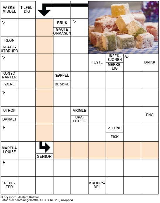 Dagens kryssord – 12. Januar – 2020
