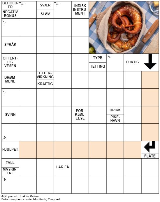 Dagens kryssord – 13. Januar – 2020