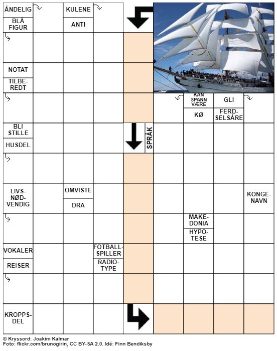 Dagens kryssord – 14. Januar – 2020