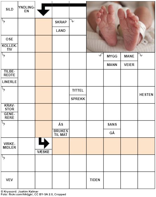 Dagens kryssord – 17. Januar – 2020