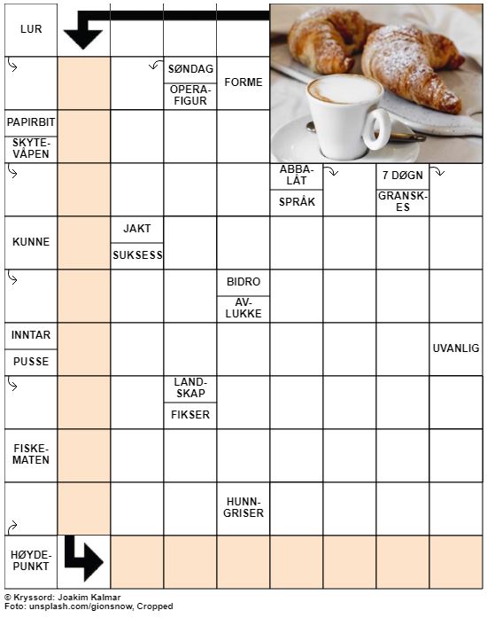 Dagens kryssord – 18. Januar – 2020