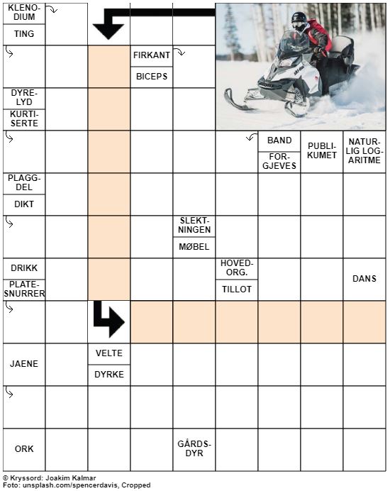 Dagens kryssord – 19. Januar – 2020