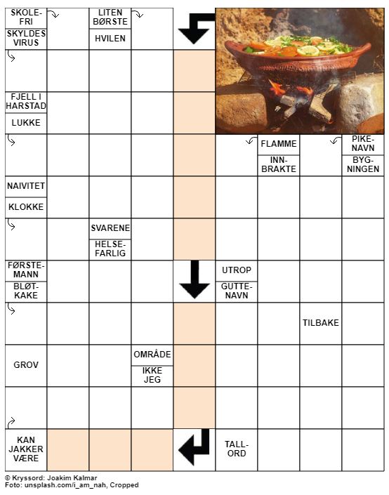 Dagens kryssord – 20. Januar – 2020