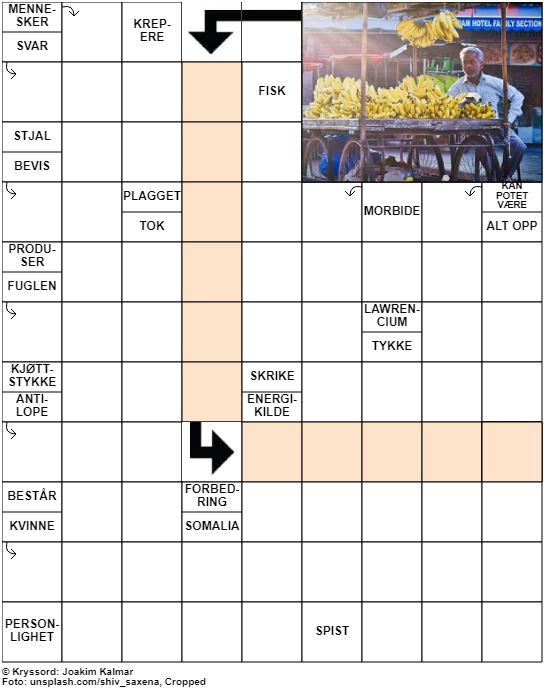 Dagens kryssord – 21. Januar – 2020