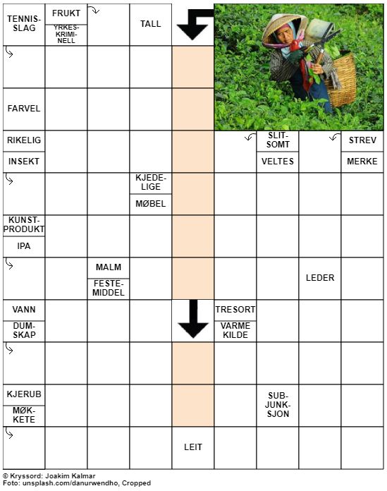 Dagens kryssord – 24. Januar – 2020