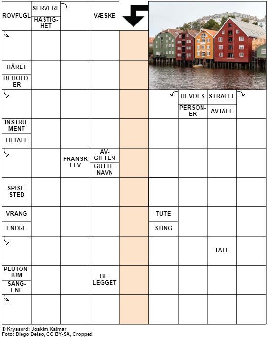 Dagens kryssord – 29. Januar – 2020