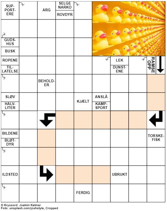 Dagens kryssord – 13. Februar - 2020