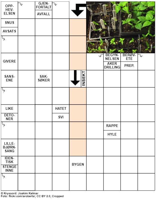 Dagens kryssord – 16. Februar - 2020