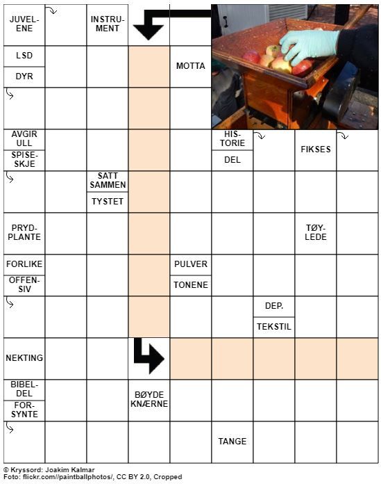 Dagens kryssord – 20. Februar - 2020
