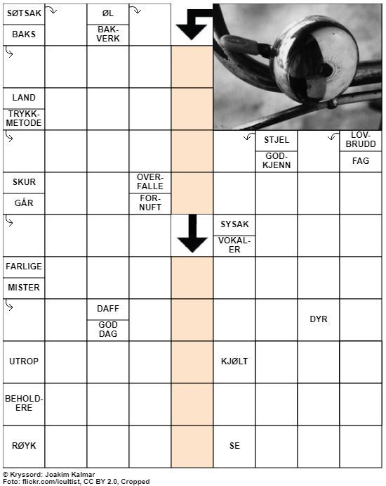 Dagens kryssord – 29. Februar - 2020