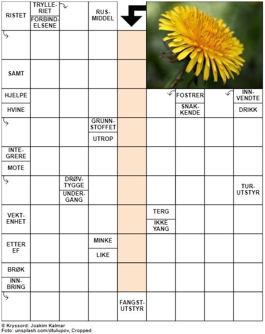 Dagens kryssord – 2. Mars - 2020