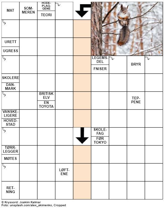 Dagens kryssord – 5. Mars - 2020