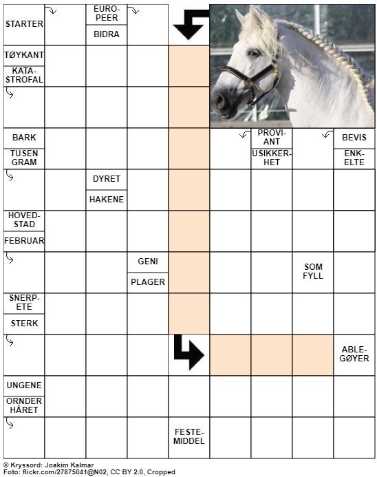 Dagens kryssord – 8. Mars - 2020