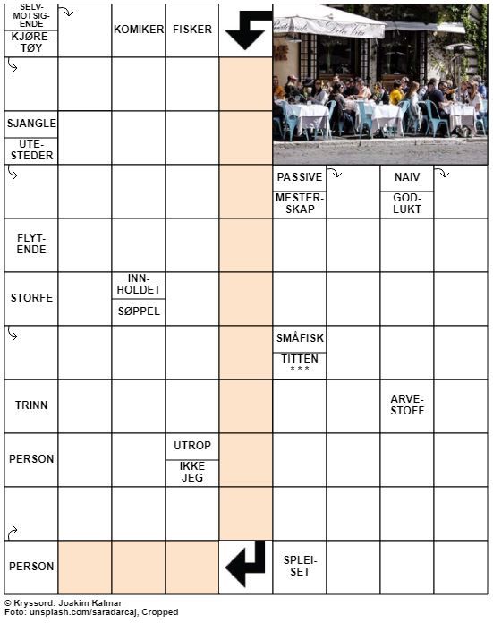 Dagens kryssord – 10. Mars - 2020
