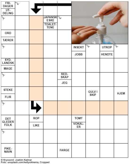 Dagens kryssord – 15. Mars - 2020