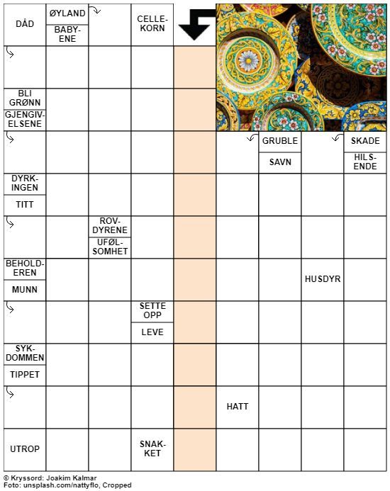 Dagens kryssord – 17. Mars - 2020