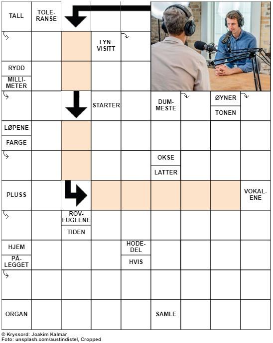 Dagens kryssord – 25. Mars - 2020